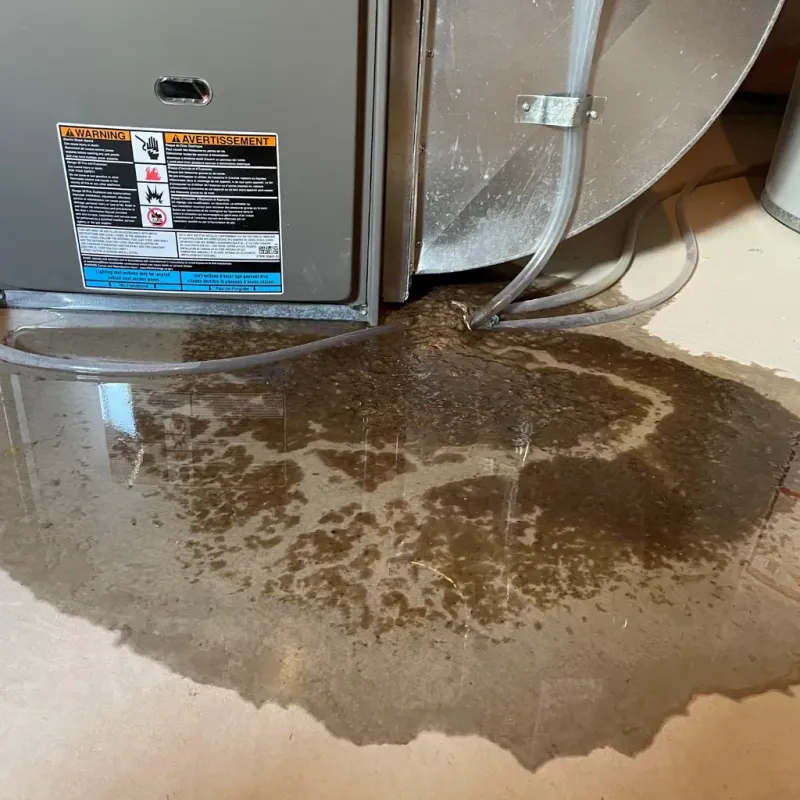 Appliance Leak Cleanup in Livermore, KY