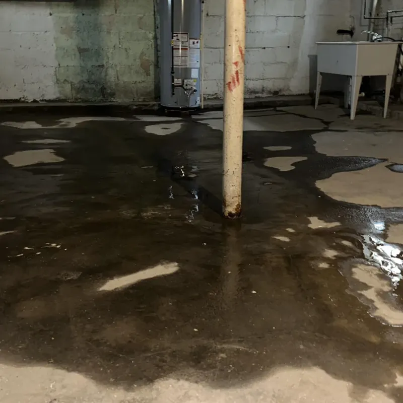 Emergency Water Extraction And Removal in Livermore, KY